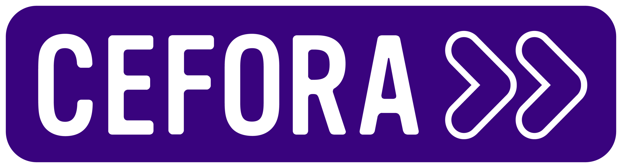 Logo sponsor